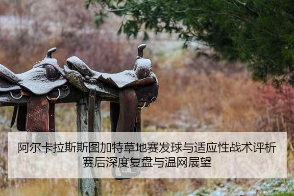a-er-ka-la-si-si-tu-jia-te-cao-di-sai-fa-qiu-yu-shi-ying-xing-zhan-shu-ping-xi-sai-hou-shen-du-fu-pan-yu-wen-wang-zhan-2-260.jpg