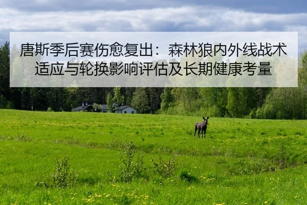 唐斯季后赛伤愈复出：森林狼内外线战术适应与轮换影响评估及长期健康考量