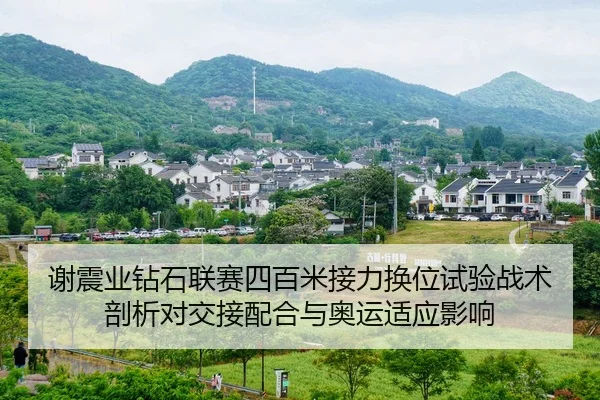 谢震业钻石联赛四百米接力换位试验战术剖析对交接配合与奥运适应影响